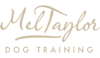 Mel Taylor Dog Training